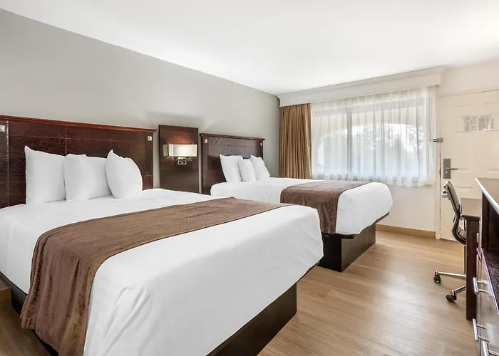 Best Western Bar Harbour Inn